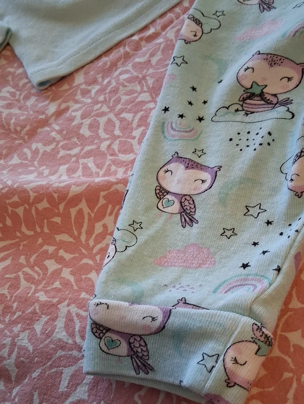 The Children's Place Mint and Pink Owl Pajama Set